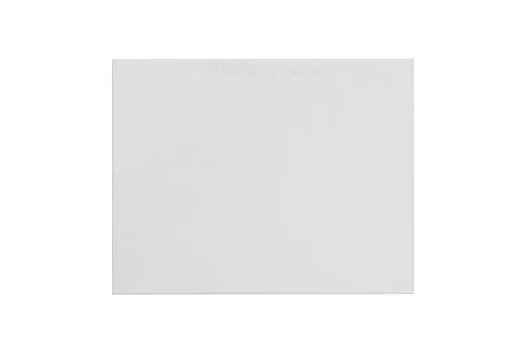 Face Shield - Walter 2 x 4.25 Inside Cover Plate, 07-IP