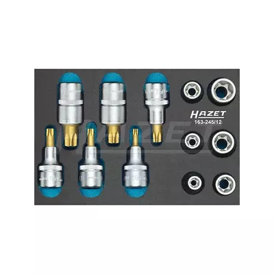 Hazet 163-245/12Tool set, TORX